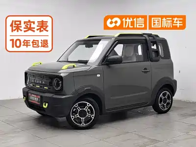 Geely Galaxy Panda 2025