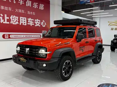 Tank 300 2025