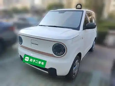 Geely Galaxy Panda 2024