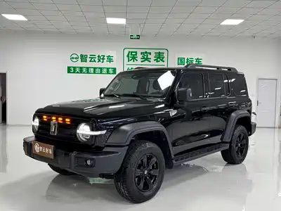 Tank 300 2025