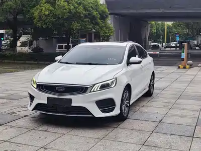 Geely Binrui 2019