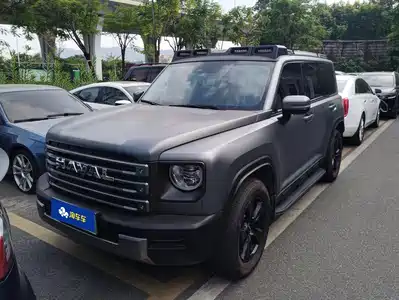 Haval Meng Long NEV 2024