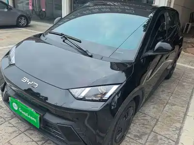 BYD Seagull 2024