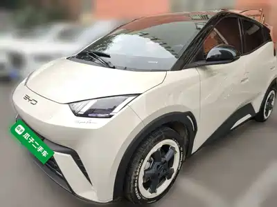 BYD Seagull 2024