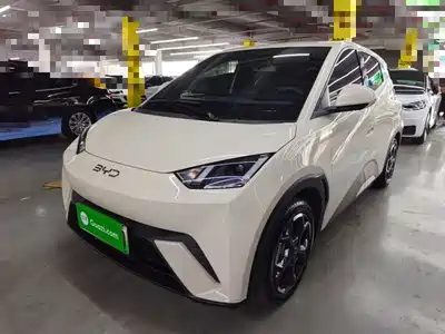 BYD Seagull 2025