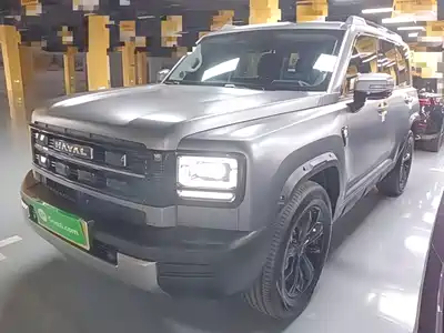 Haval Meng Long NEV 2025