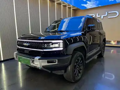 Fang Cheng Bao Leopard 5 2024