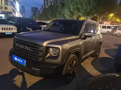 Haval Meng Long NEV 2024