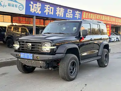Tank 300 2023