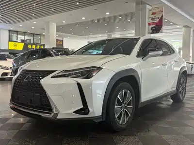 Lexus UX300e 2021