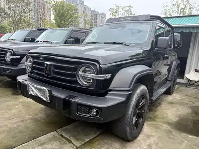 Tank 300 2024