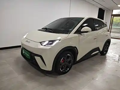 BYD Seagull 2024