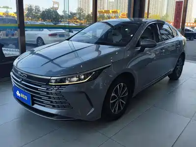 BYD Destroyer 05 2024