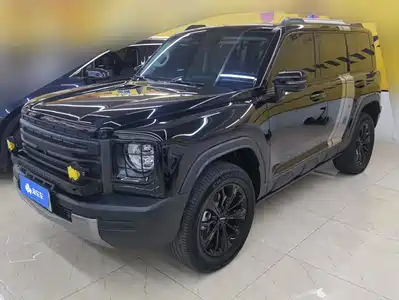 Haval Meng Long NEV 2025