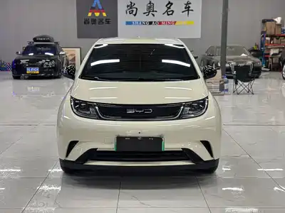 BYD Dolphin 2023