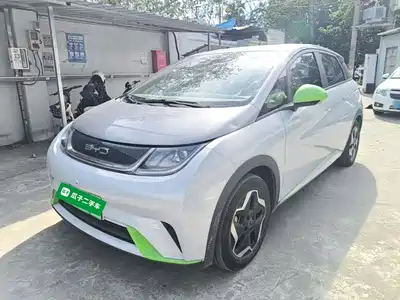 BYD Dolphin 2022