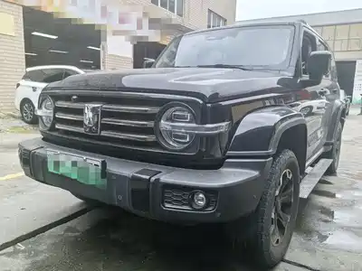 Tank 300 New Energy 2025