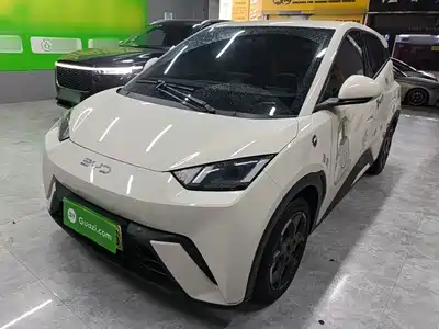 BYD Seagull 2025