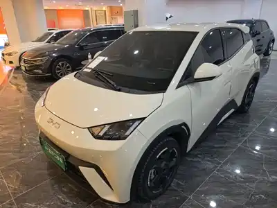 BYD Seagull 2024
