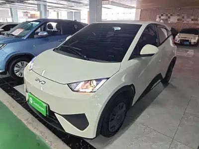 BYD Seagull 2025