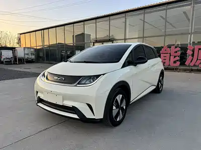 BYD Dolphin 2024