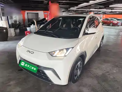 BYD Seagull 2023