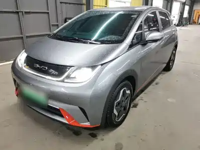 BYD Dolphin 2022