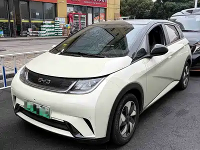 BYD Dolphin 2024