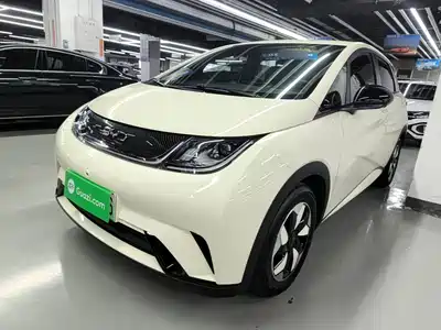 BYD Dolphin 2026