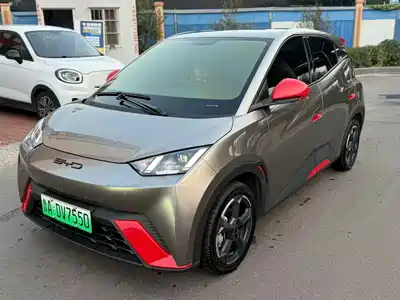 BYD Seagull 2024