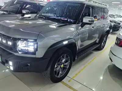 Jetour Shanhai T2 2024