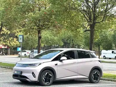 BYD Dolphin 2025