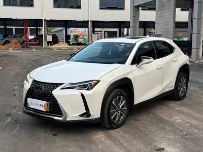 Lexus UX300e 2022