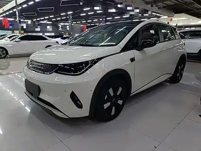 BYD Dolphin 2026