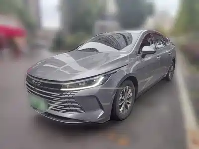 BYD Destroyer 05 2024