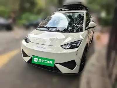 BYD Seagull 2025