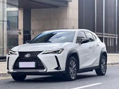 Lexus UX300e 2022