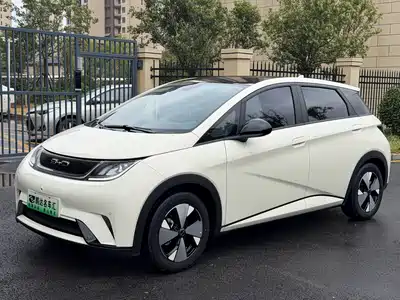 BYD Dolphin 2024