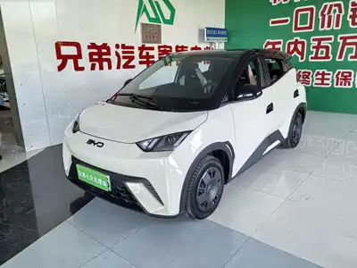 BYD Seagull 2025