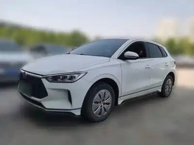 BYD e2 2021