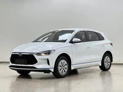 BYD e2 2021