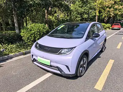 BYD Dolphin 2024