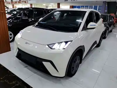 BYD Seagull 2024