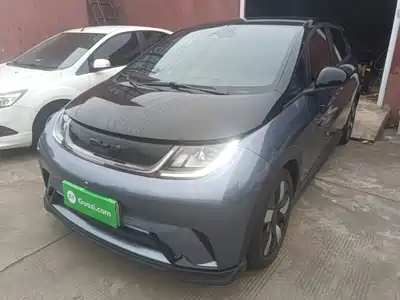 BYD Dolphin 2024