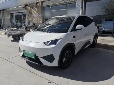 BYD Seagull 2025