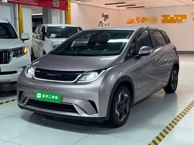 BYD Dolphin 2022