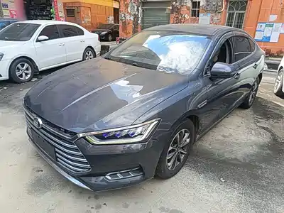 BYD Qin Pro New Energy 2020