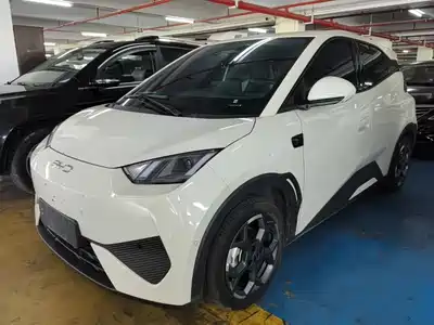 BYD Seagull 2025