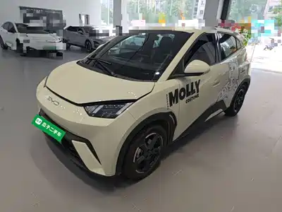BYD Seagull 2023
