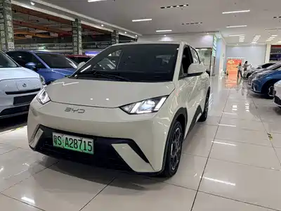 BYD Seagull 2024